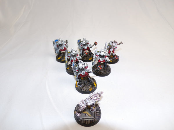 The Faithful of the Hive