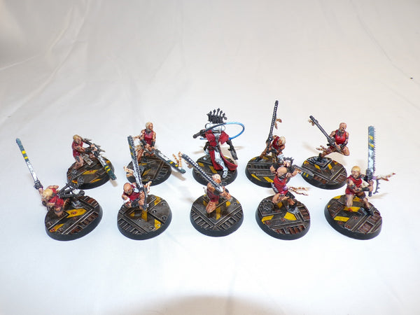 The Faithful of the Hive