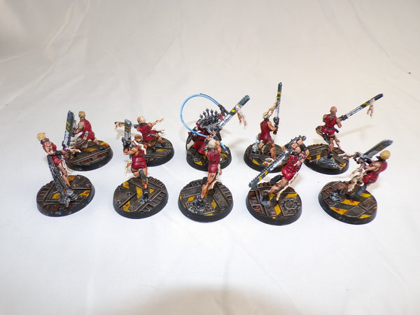 The Faithful of the Hive