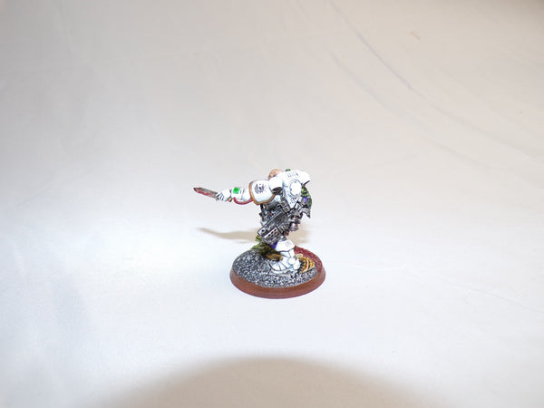 The Flaming Wings of the Phoenix