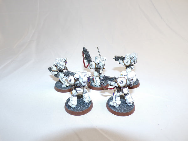 The Flaming Wings of the Phoenix