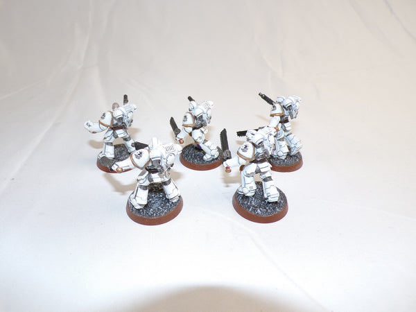 The Flaming Wings of the Phoenix