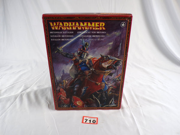 Bretonnian Battalion