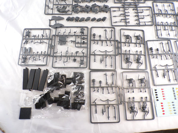 Bretonnian Battalion