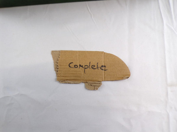 Lost Patrol Death in the Jungle