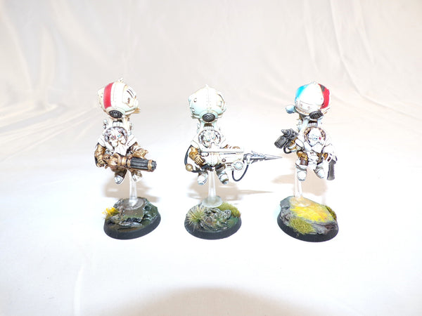 The Aeronautical Adventurers