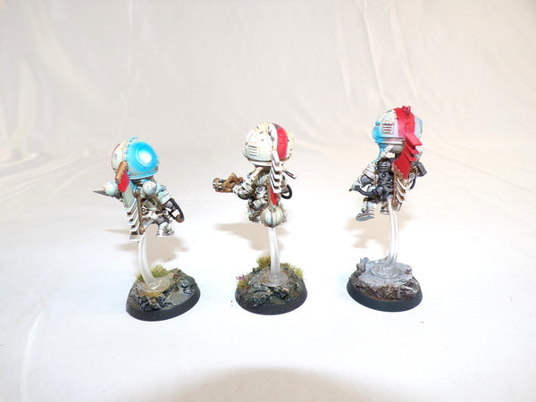 The Aeronautical Adventurers