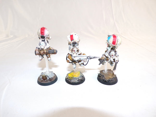 The Aeronautical Adventurers