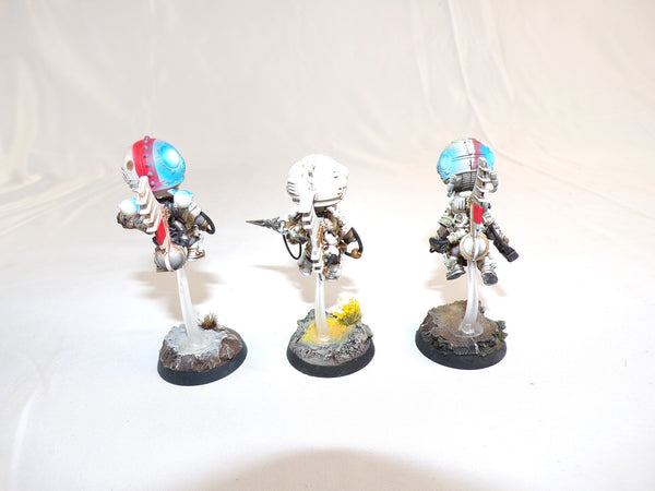 The Aeronautical Adventurers