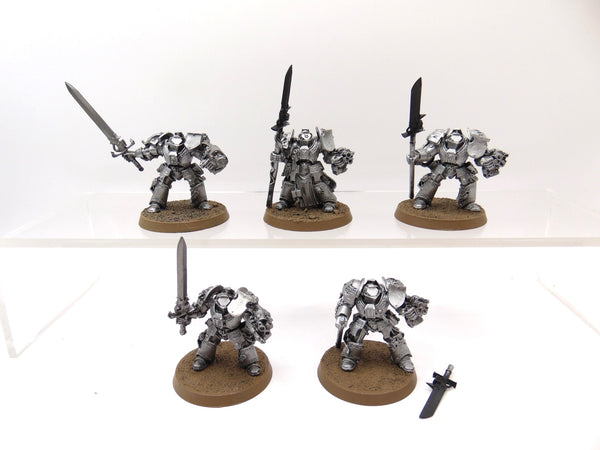 Brotherhood Terminator Squad inc Brother Captain