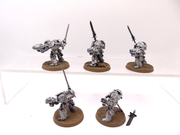 Brotherhood Terminator Squad inc Brother Captain