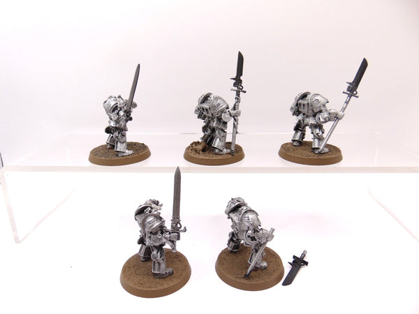 Brotherhood Terminator Squad inc Brother Captain