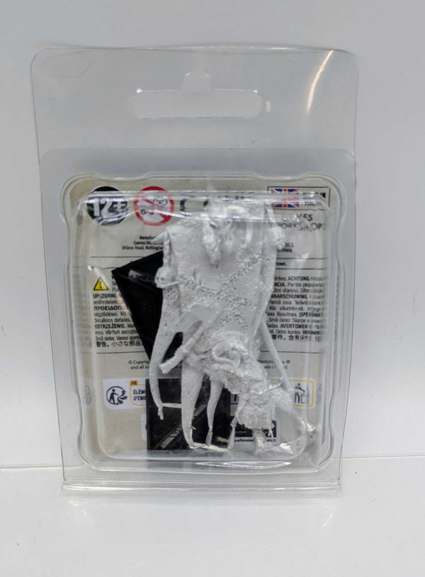 Wargor Battle Standard Bearer