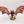 Winged Hive Tyrant