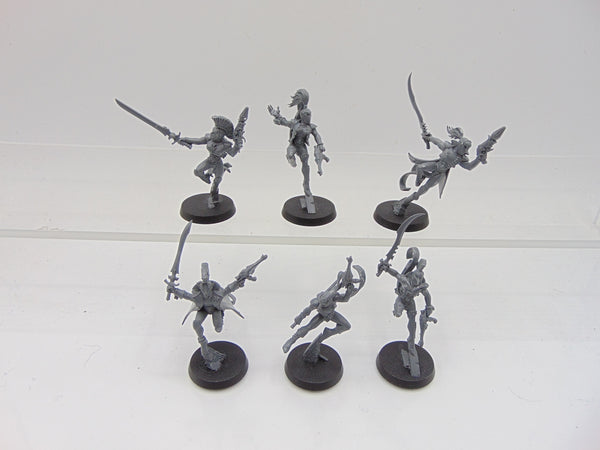 Harlequin Troupe