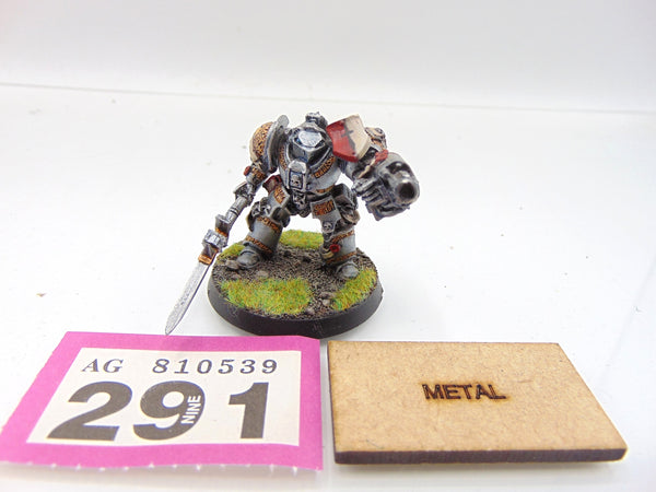 Brotherhood Terminator with Psycannon