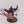 Winged Tyranid Prime