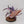 Winged Tyranid Prime