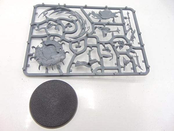 Magister on Disc of Tzeentch