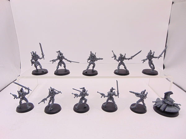 Storm Guardians