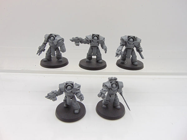 Cataphractii Terminator Squad