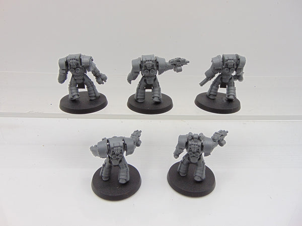 Cataphractii Terminator Squad