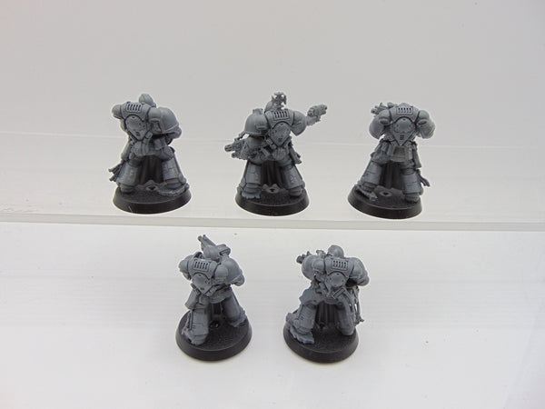 Sternguard Veterans