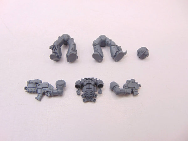 Grey Hunters / Blood Claws