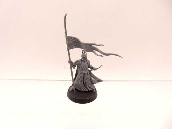 High Elf warrior with banner.