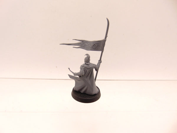 High Elf warrior with banner.