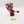 Bloodsecrator