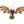 Winged Hive Tyrant