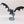 Winged Hive Tyrant