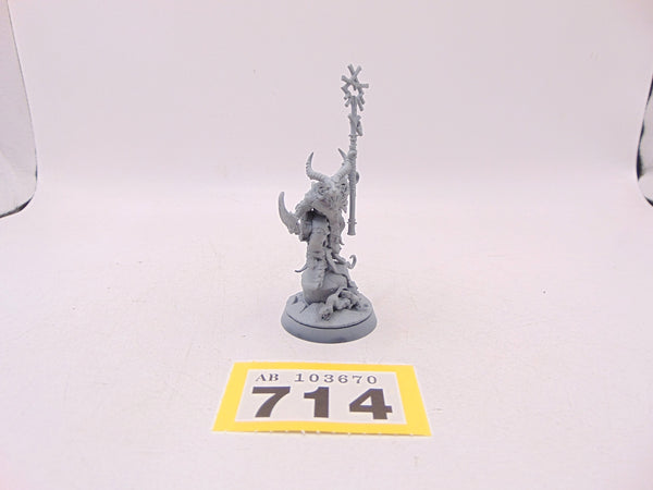 Grey Seer
