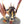 Vampire Lord on Terrorgheist