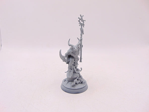 Grey Seer