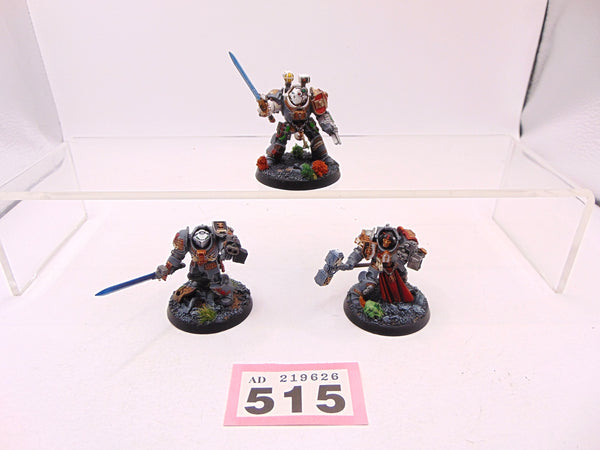 Brotherhood Terminator Squad / Paladin Squad