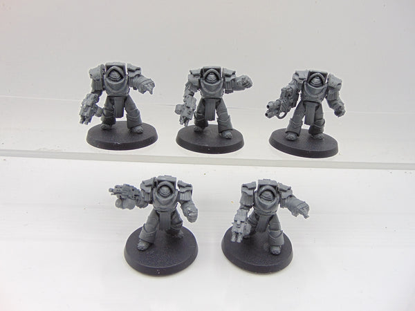 Cataphractii Terminator Squad