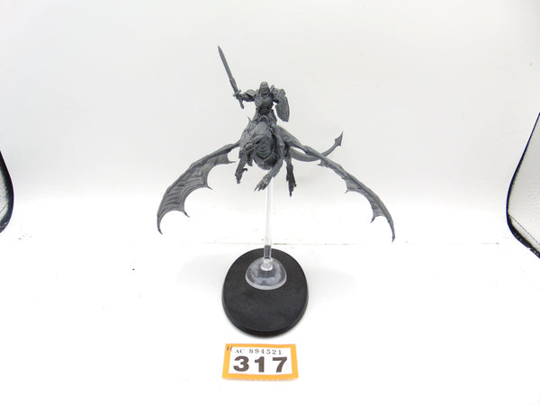 Stormdrake Guard