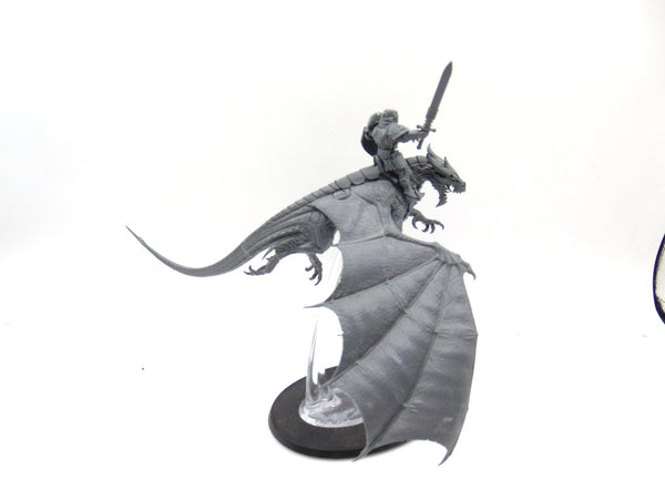 Stormdrake Guard
