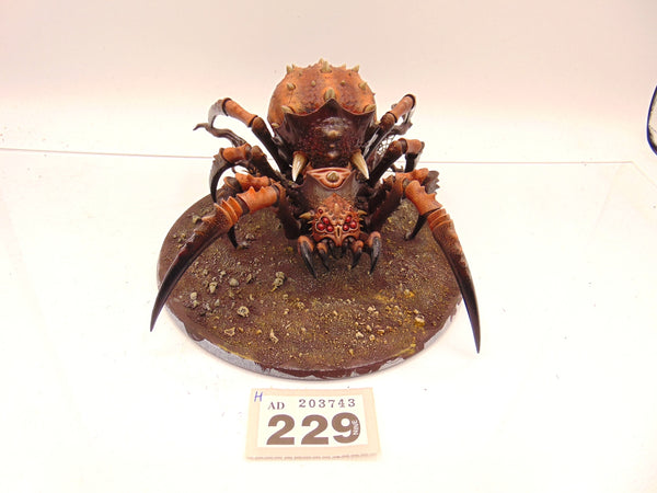 Skitterstrand Arachnarok