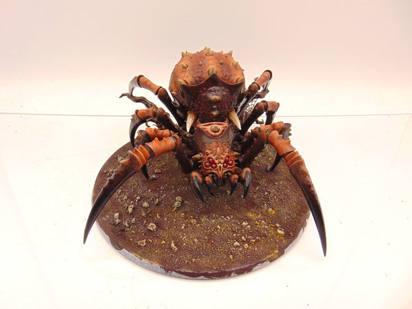 Skitterstrand Arachnarok
