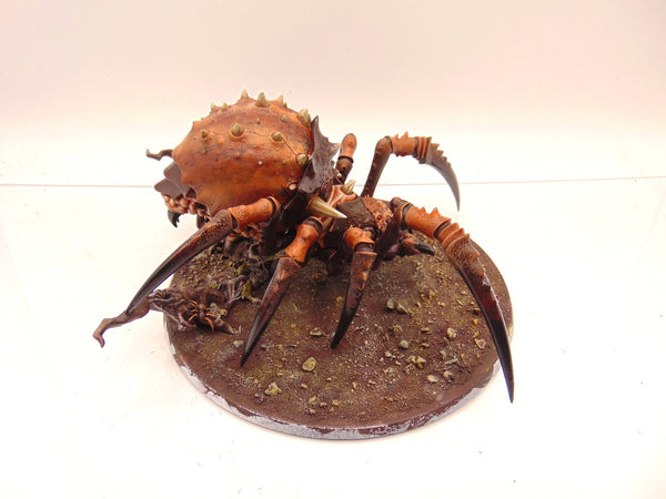 Skitterstrand Arachnarok