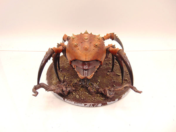 Skitterstrand Arachnarok