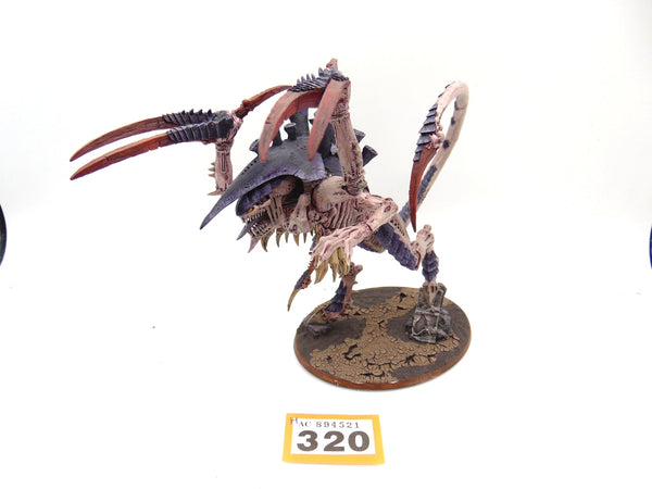 Dimachaeron
