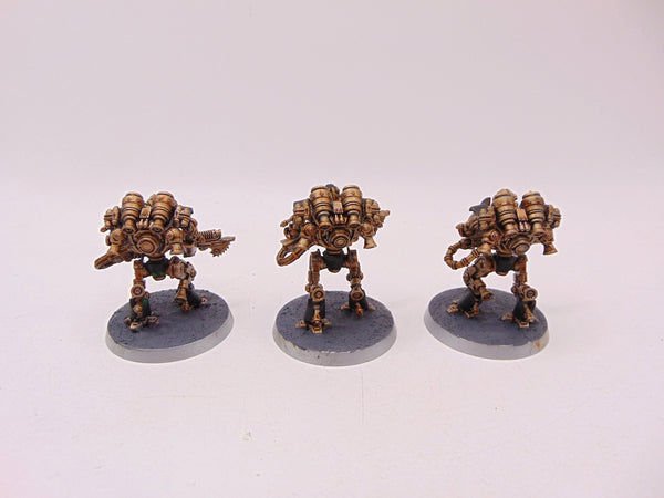 Thallax Cohort