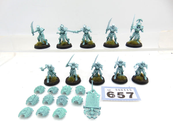 Mortek Guard