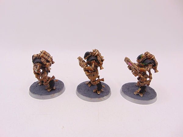 Thallax Cohort