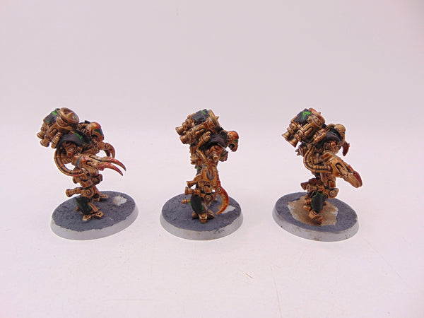 Ursarax Cohort