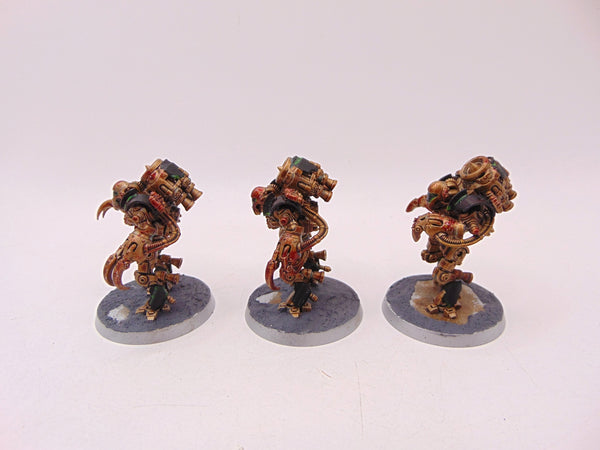 Ursarax Cohort